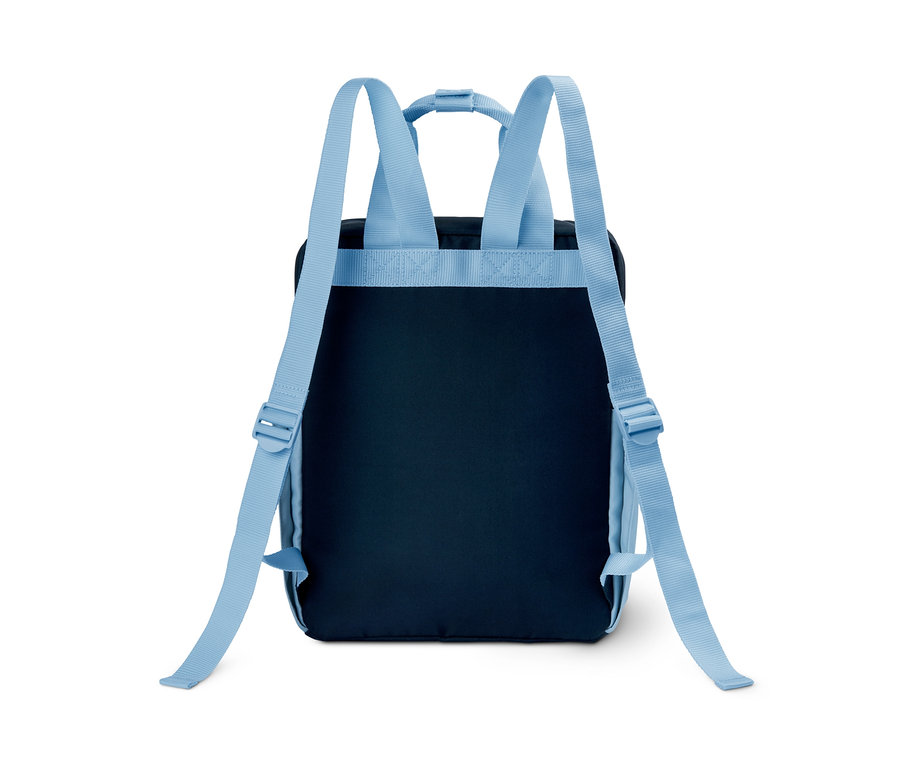 Rückansicht eines Outdoor-Rucksacks, Heritage, mit blauen Trägern.