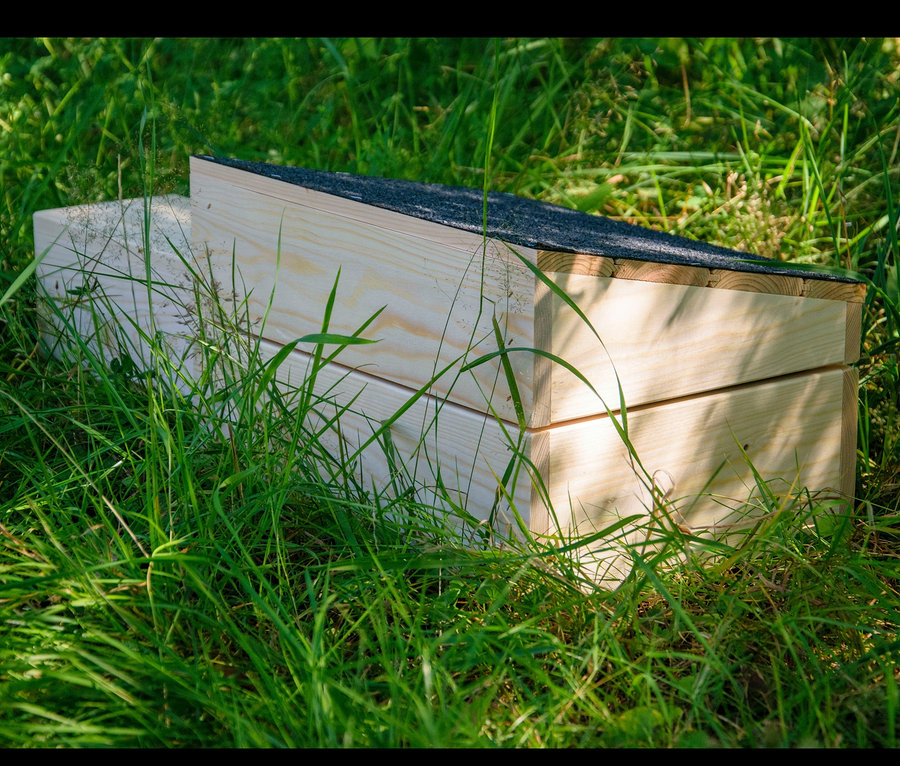 Im Gras liegt ein Igelhaus-Bausatz mit schwarzem Dach.