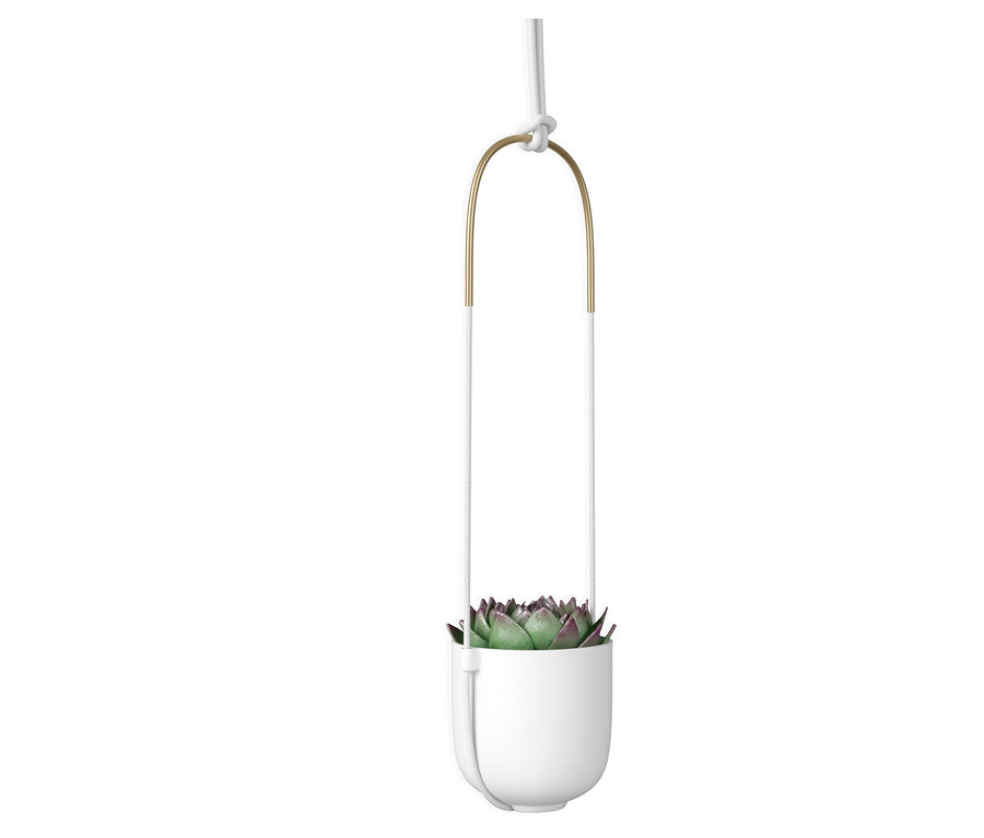Eine hängende Blumenvase mit einer Pflanze.