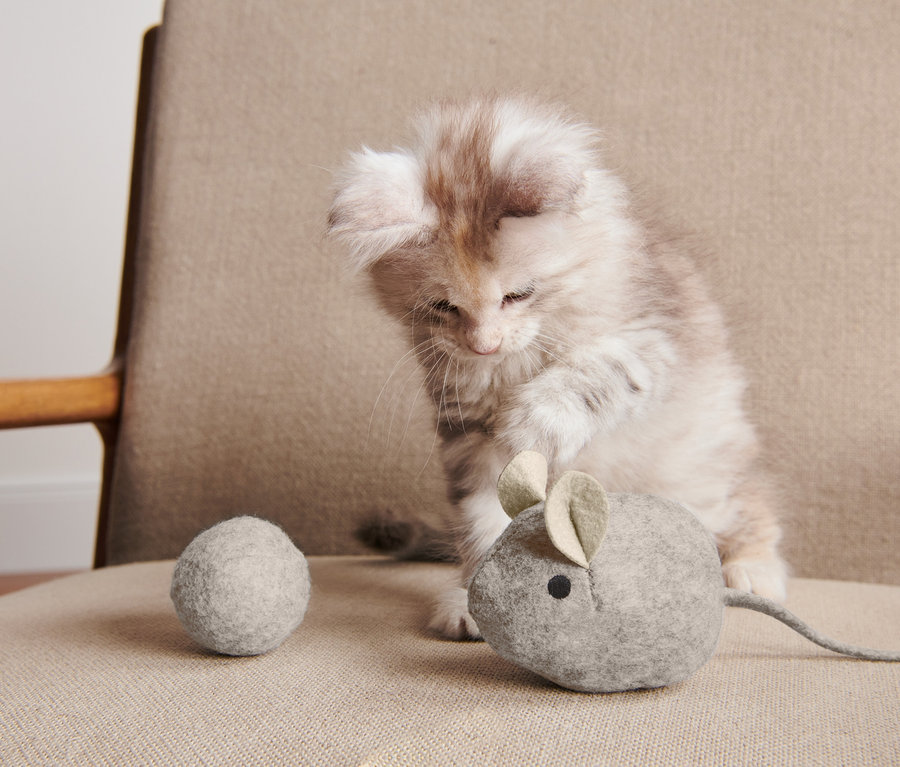 Ein Kätzchen spielt mit einer grauen Plüschmaus und einem grauen Wollball aus dem Katzenspielzeug-Set.