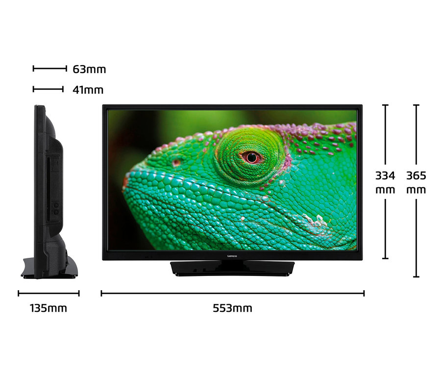 Lenco 24-Zoll-HD-LED-TV mit DVD-Player, der eine Nahaufnahme eines grünen Chamäleons zeigt.