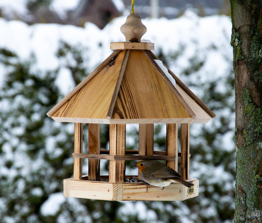 Rotkehlchen sitzt im hölzernen Vogelfutterhaus »Caliente«, das an einem Baum hängt.