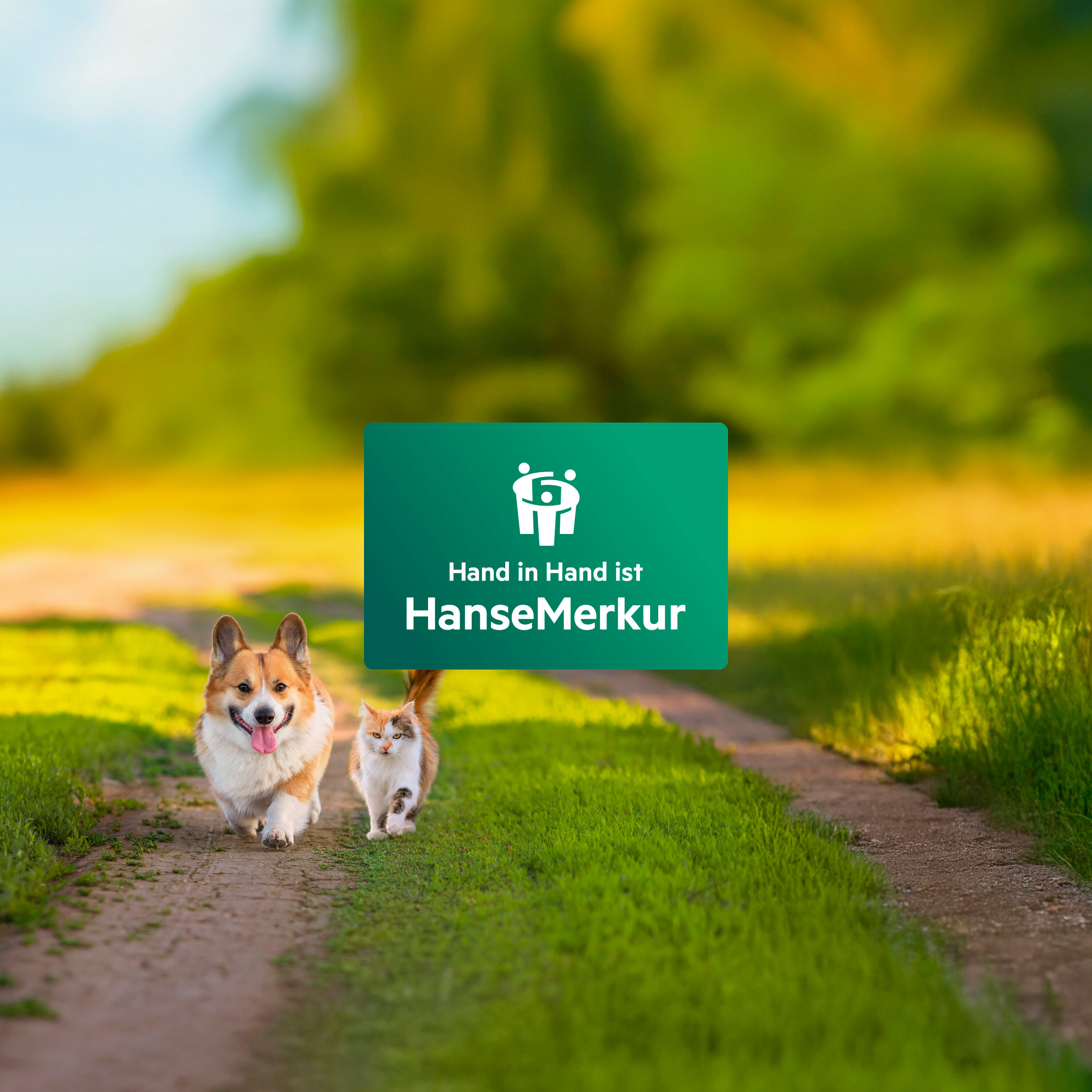 Auf einem grasbewachsenen Weg laufen ein Hund und eine Katze auf ein grünes HanseMerkur-Logo zu.