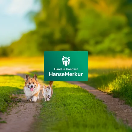 Auf einem grasbewachsenen Weg laufen ein Hund und eine Katze auf ein grünes HanseMerkur-Logo zu.