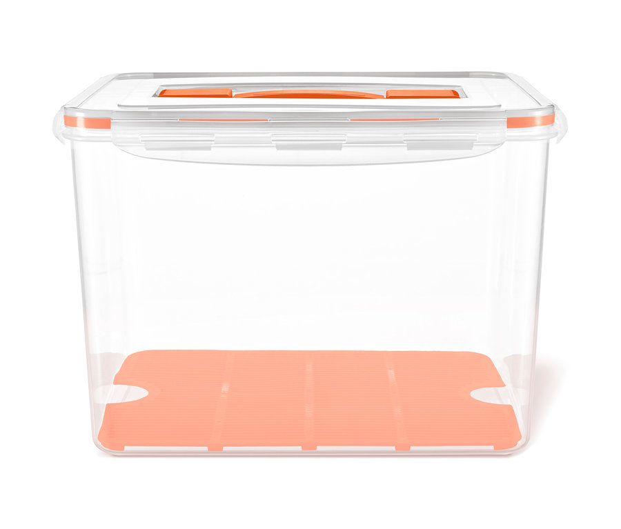 Leere, transparente Frischhaltedose mit hellorangefarbenem Boden und Deckel.
