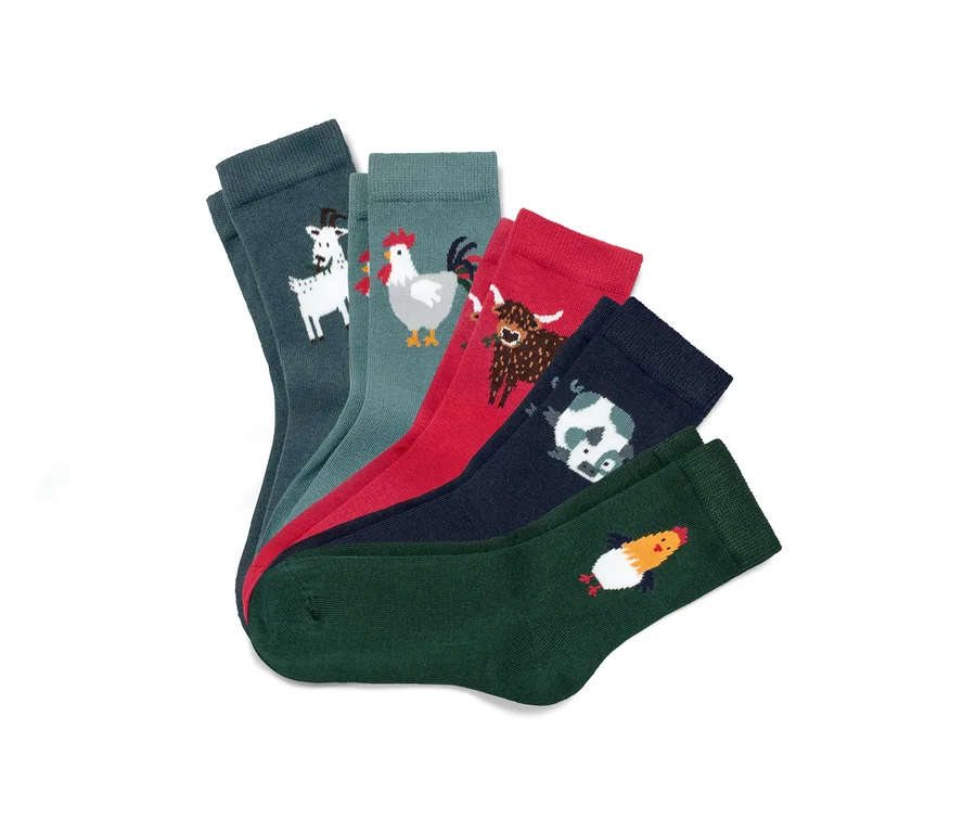 Fünf Paar Kinder-Socken mit Tiermotiven.