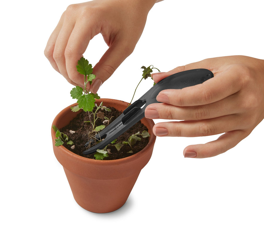 Hände pflanzen eine Pflanze mit dem Gärtner-Set in einen Topf.