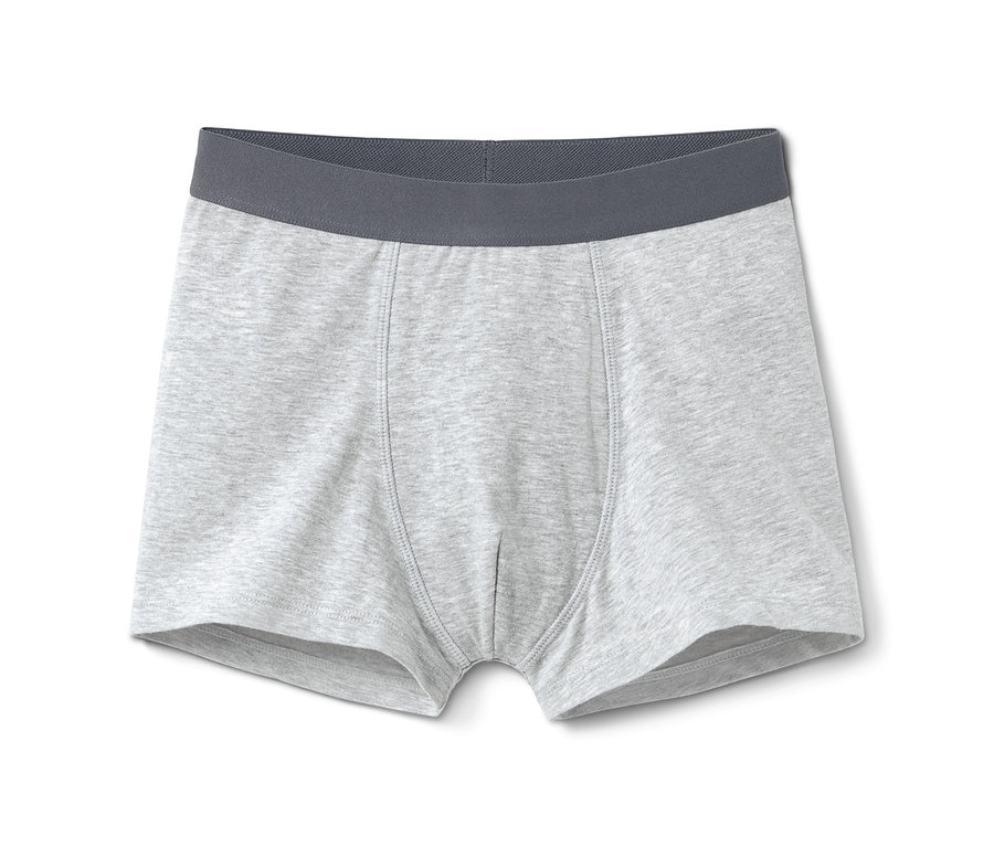 Graue 7 Jungen-Slipboxer.