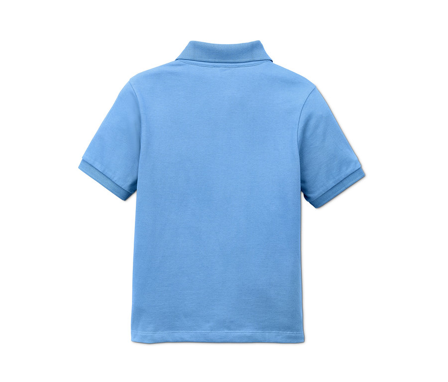 Rückansicht eines hellblauen Poloshirts.