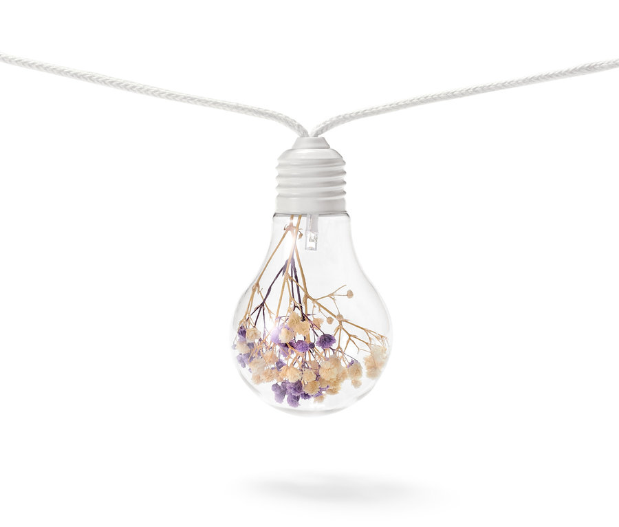 LED-Lichterkette mit Trockenblumen in einer Glühbirne.