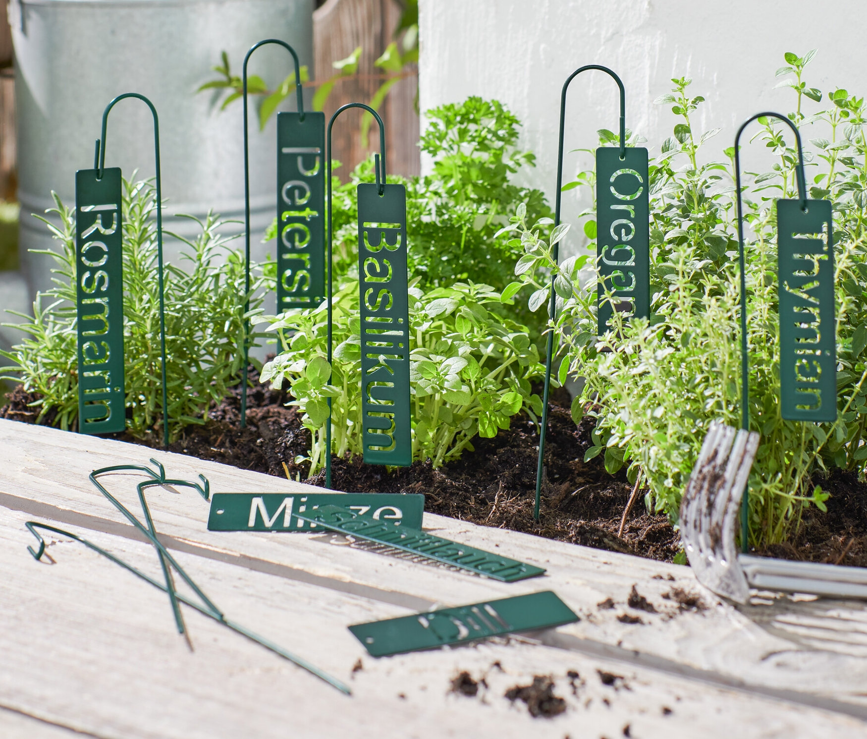 Grüne Kräuterschilder mit den Aufschriften Rosmarin, Petersilie, Basilikum, Oregano und Thymian in einem Kräutergarten.