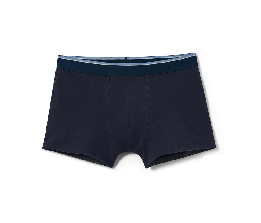 Eine dunkelblaue Slipboxer mit blauem Bund.