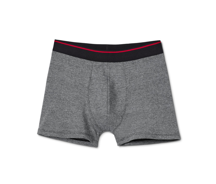 Detailansicht einer grauen Slipboxer mit schwarzem Bund und rotem Streifen.