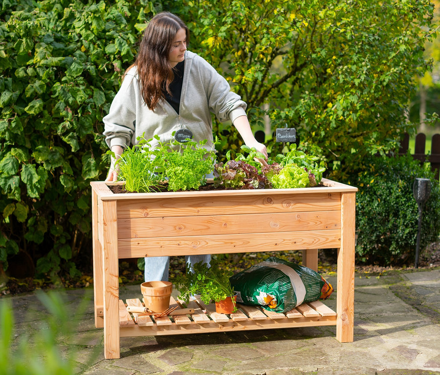 Frau arrangiert Pflanzen in einem hölzernen Stelzenhochbeet mit Boden.