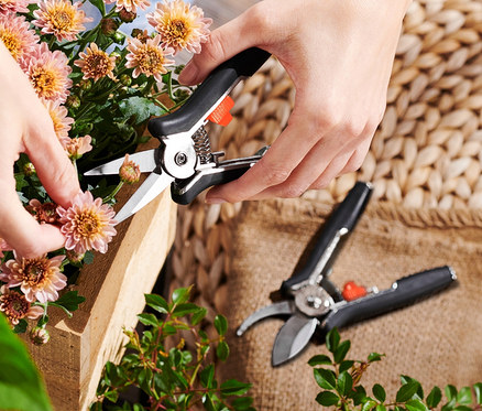 Frau schneidet Blumen mit einer 2 Mini-Pflegescheren.