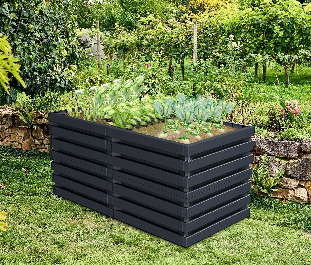 Ein Gemüsegarten mit dem Garantia Skyline Hochbeet, ca. 161 x 75 x 80 cm, bepflanzt mit Gemüse.