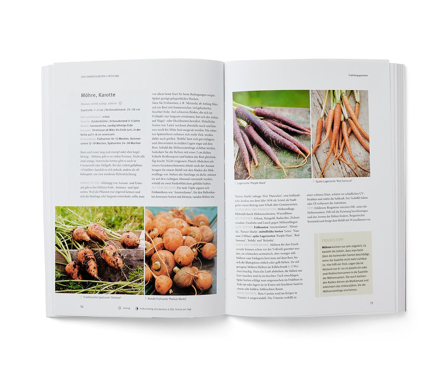Offenes Buch mit Karottenbildern und Text aus dem Buch »Dein eigenes Gemüse«.