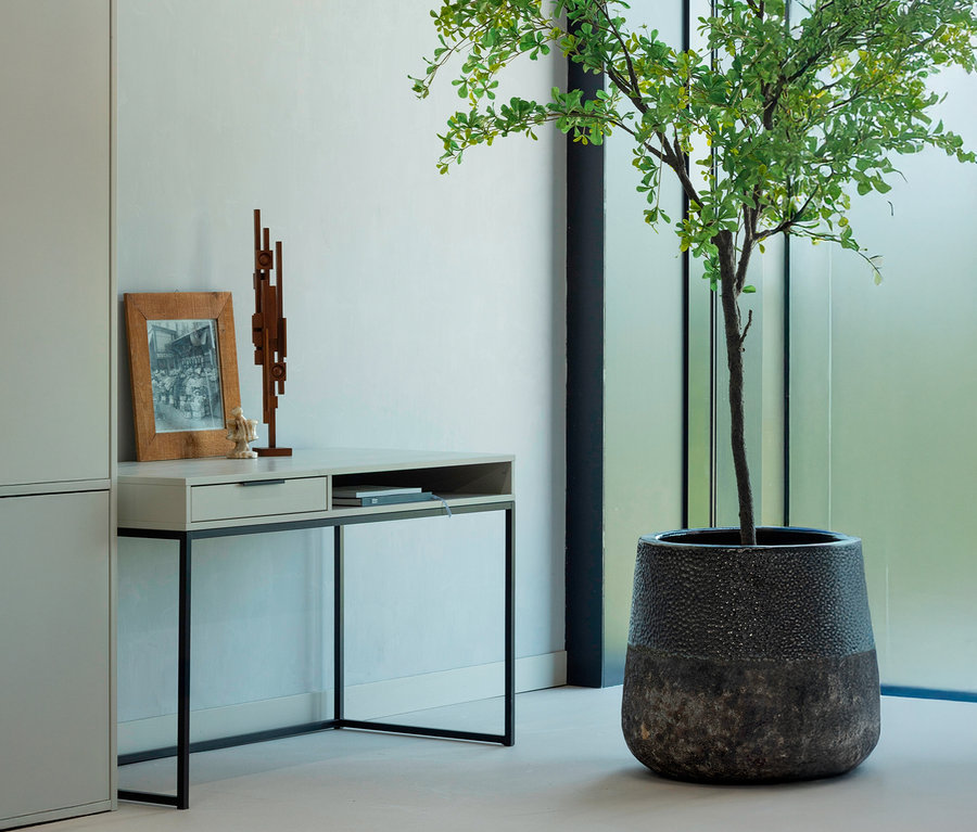 Ein WOOOD Schreibtisch »Nore« steht neben einem Schrank, darauf eine gerahmte Fotografie und eine Holzskulptur. Rechts steht eine Zimmerpflanze in einem Topf.
