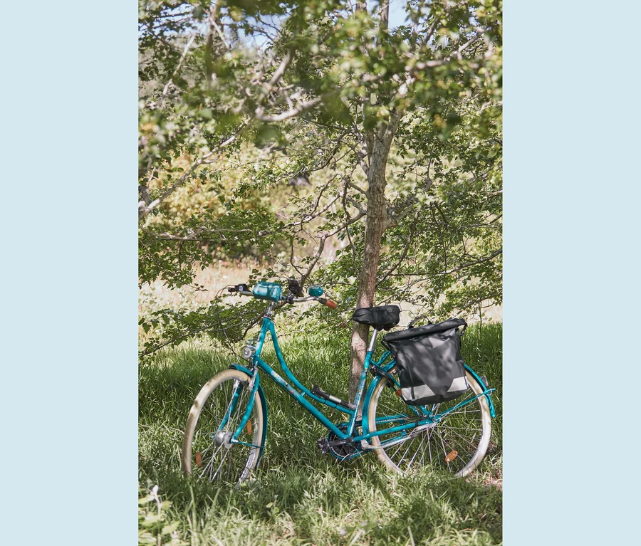 amazon boxing gear Best Sellers: Best Gloves So finden Sie ein Category:Trekkingrad_Bis 25 km/h Wheel Size:24