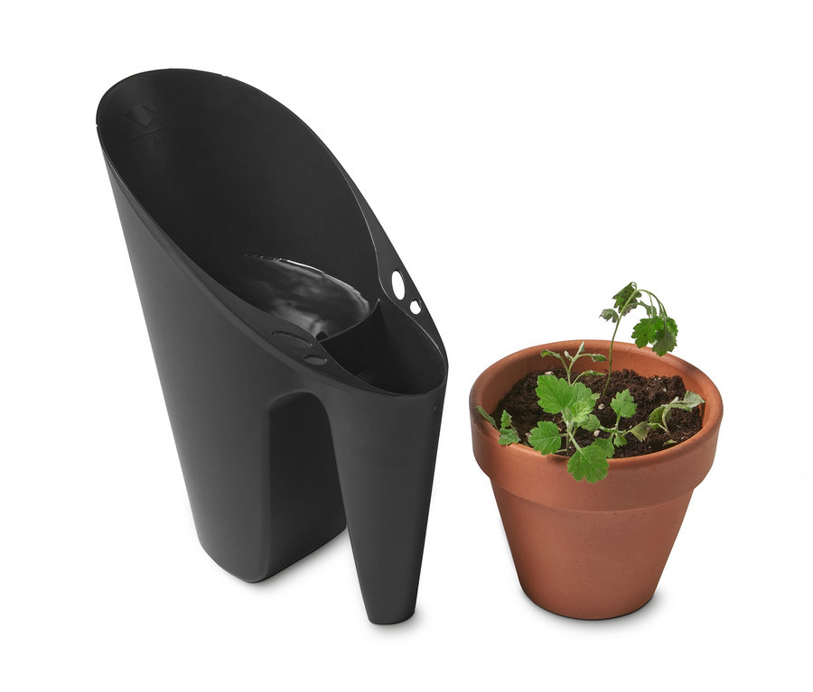 Eine schwarze Gießkanne neben einem Topf mit einem Sämling. Gärtner-Set.