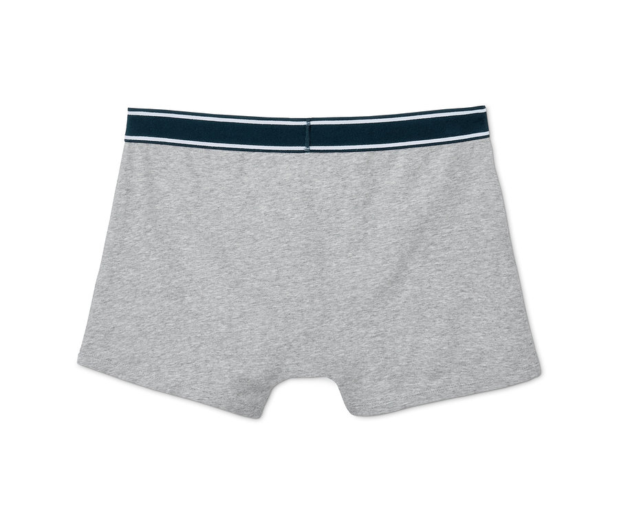 Graue 5 Slipboxer mit marineblauem Bund und weißem Streifen.