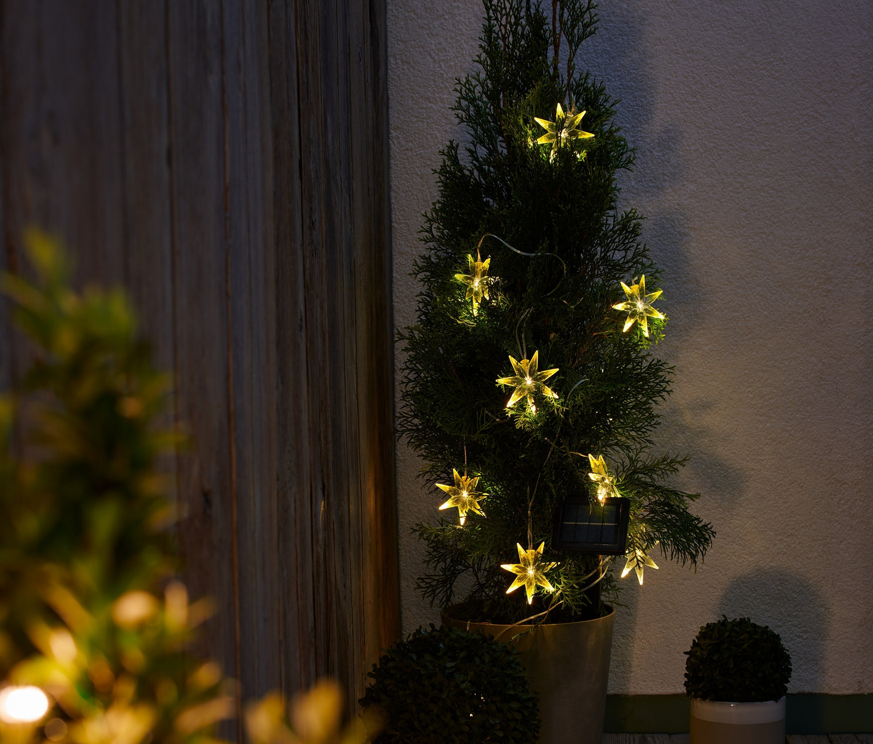 Eine Solar-Lichterkette in Sternform ist um einen kleinen Baum im Topf gewickelt.