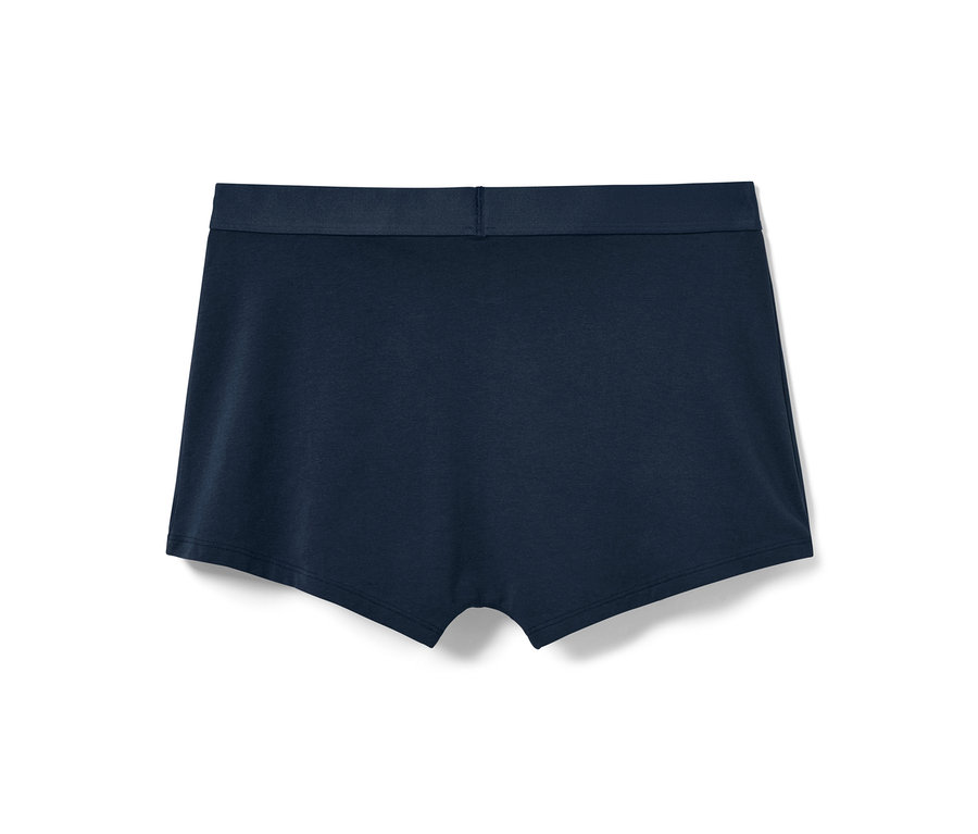 Detailansicht der Rückseite einer einzelnen blauen 4 Slipboxer.