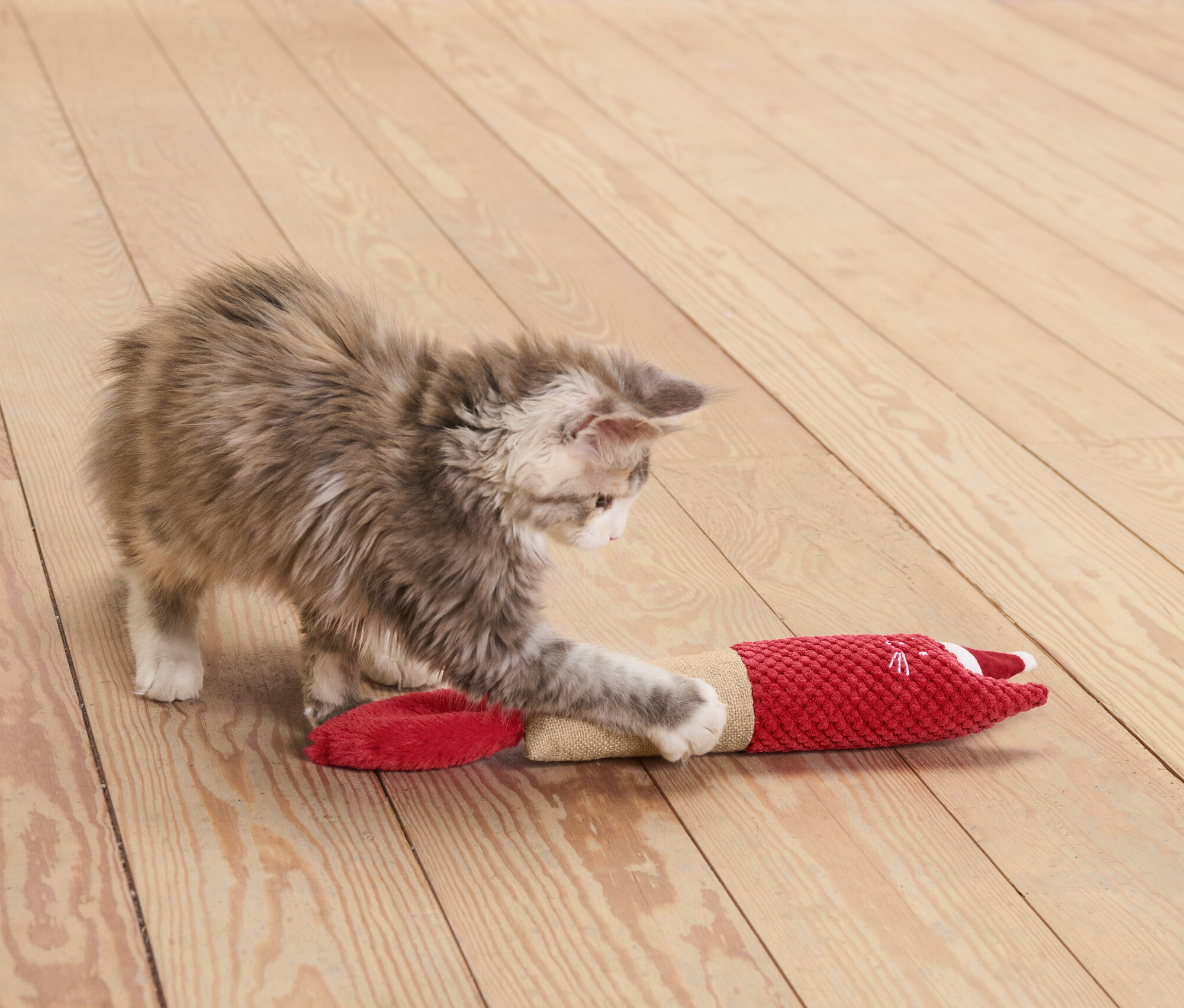 Ein Kätzchen spielt mit einer roten Katzen-Spielrolle.