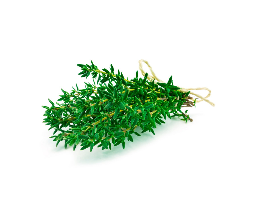 Ein Bund 8 Kräuterklassiker, zusammengebunden mit einer Schnur.