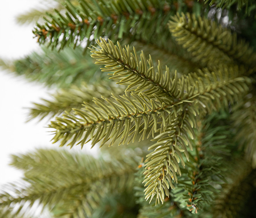 Detailaufnahme von grünen Nadelzweigen eines Weihnachtsbaums.