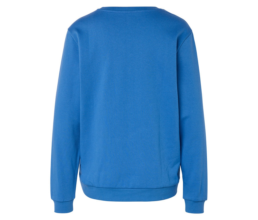 Rückansicht eines blauen Sweatshirts.