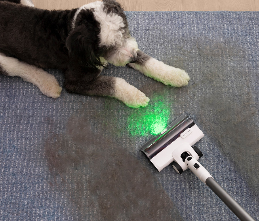 Ein schwarzweißer Hund liegt auf einem blauen Teppich, der mit einem Tineco Akku-Staubsauger Pure One Station 5 gereinigt wird.