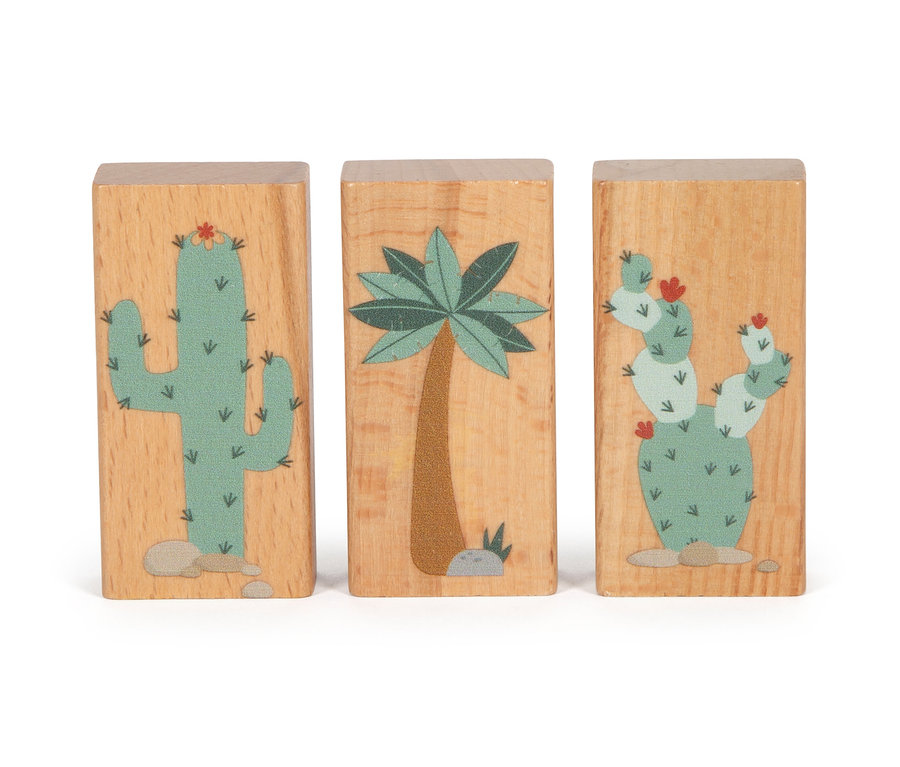 Drei Holzklötze mit Kaktus- und Palmenaufdruck des small foot Set Nachziehtier, Holzbausteine und Motorikschleife »Dino«.