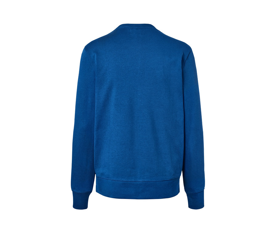Blaues Sweatshirt von hinten.
