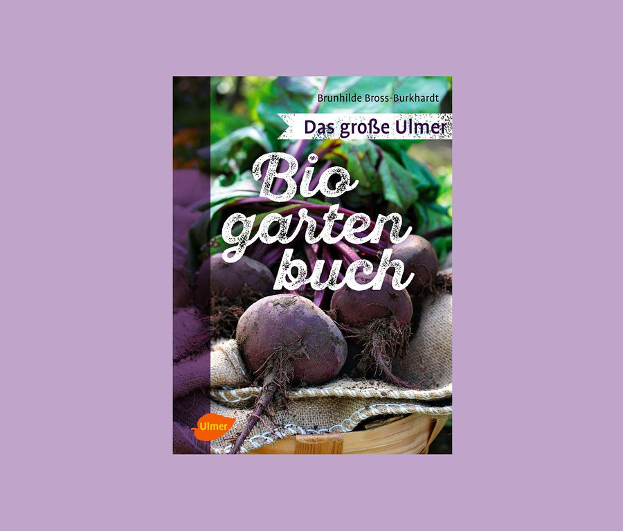 Rote Bete in einem Korb, im Hintergrund das Buch "Das große Ulmer Biogartenbuch".