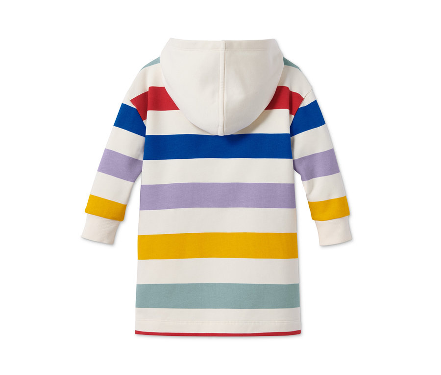 Rückansicht eines Sweatshirts mit Kapuze und bunten Streifen.