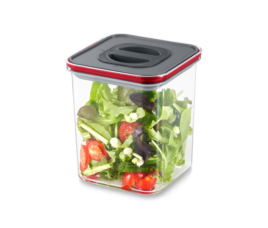 Salat in einer der 2 Vakuum-Frischhaltedosen.