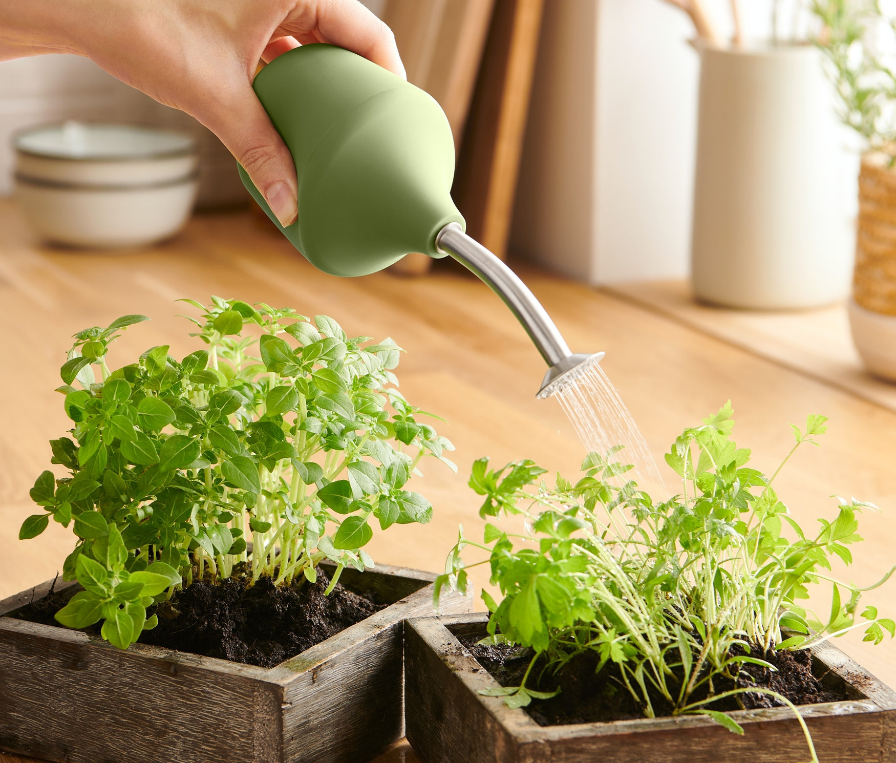 Hand gießt mit Gartenbrause zwei Pflanzen in Holzkästen.