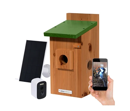 Holzvogelhaus mit grünem Dach, weißer Kamera, Solarpanel und einer Hand, die ein Smartphone mit einer Live-Aufnahme von Vogelküken im Nest hält.