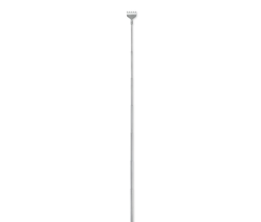 Silberner Rückenkratzer.