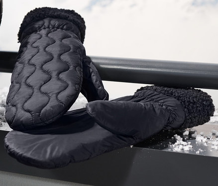 Schwarze Stepp-Fäustlinge und Skier, die an ein Geländer gelehnt sind, mit Bergen im Hintergrund.