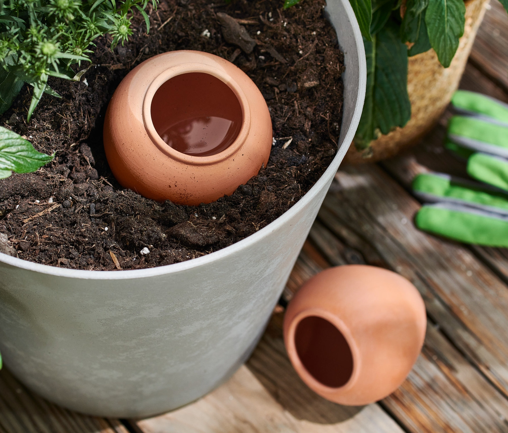 Ein 2 Ton-Bewässerungshelfer sitzt in einem Blumentopf mit Pflanzen, ein weiterer liegt neben dem Topf.