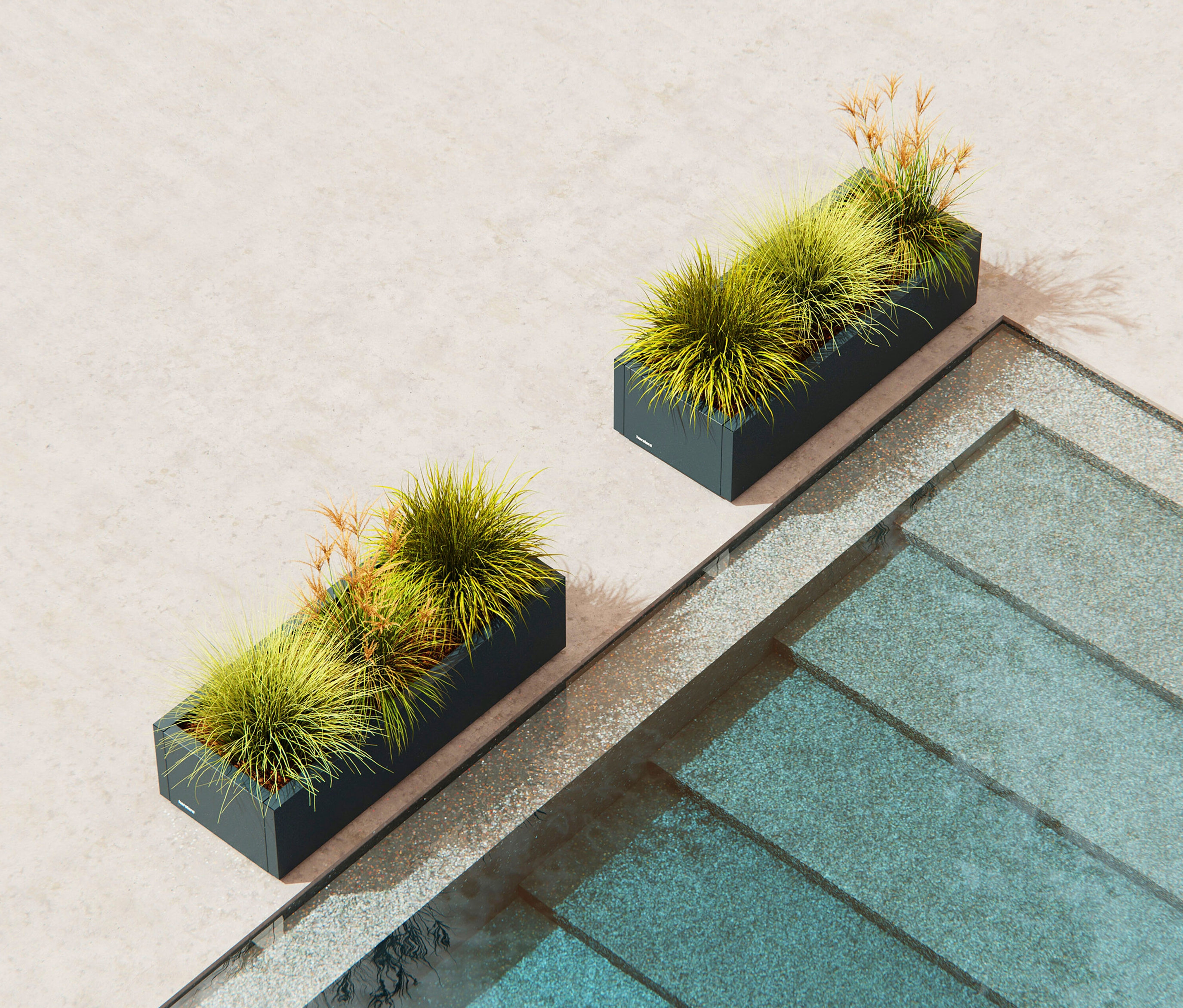 Zwei graue Pflanzkästen mit grünem und braunem Ziergras stehen neben einem Schwimmbecken.