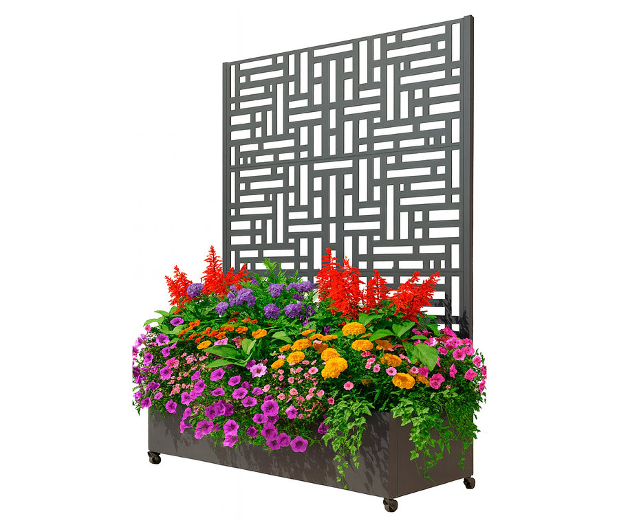 Blumenkasten mit bunten Blumen und einem grauen, gemusterten Hintergrund.