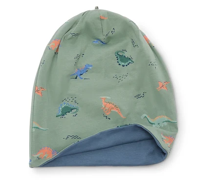 Hellgrüne Mütze mit Dinosaurier-Muster und blauem Futter.