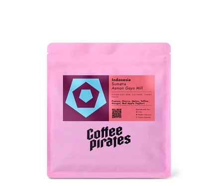 Eine Packung Coffee Pirates – Indonesien Sumatra Asman Gayo Mill Filterkaffee – 250 g Ganze Bohne.