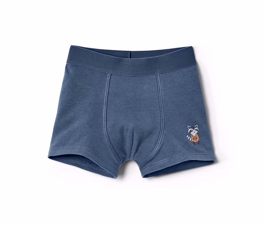 Blaue Jungen-Slipboxer mit Waschbär-Motiv.