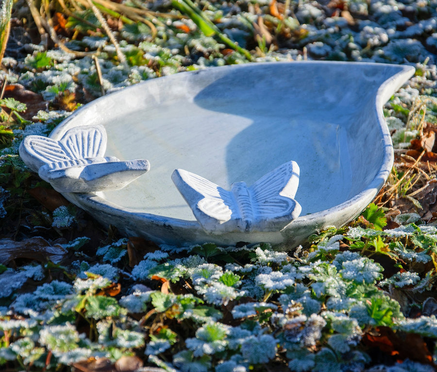 Vogelbad-Insektentränke »Foglia« liegt auf einem frostbedeckten Boden.