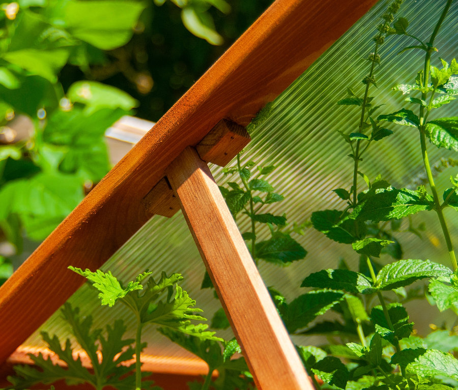 Detailansicht des Frühbeet-Aufsatzes für Hochbeet »Kubus« mit Pflanzen im Inneren.