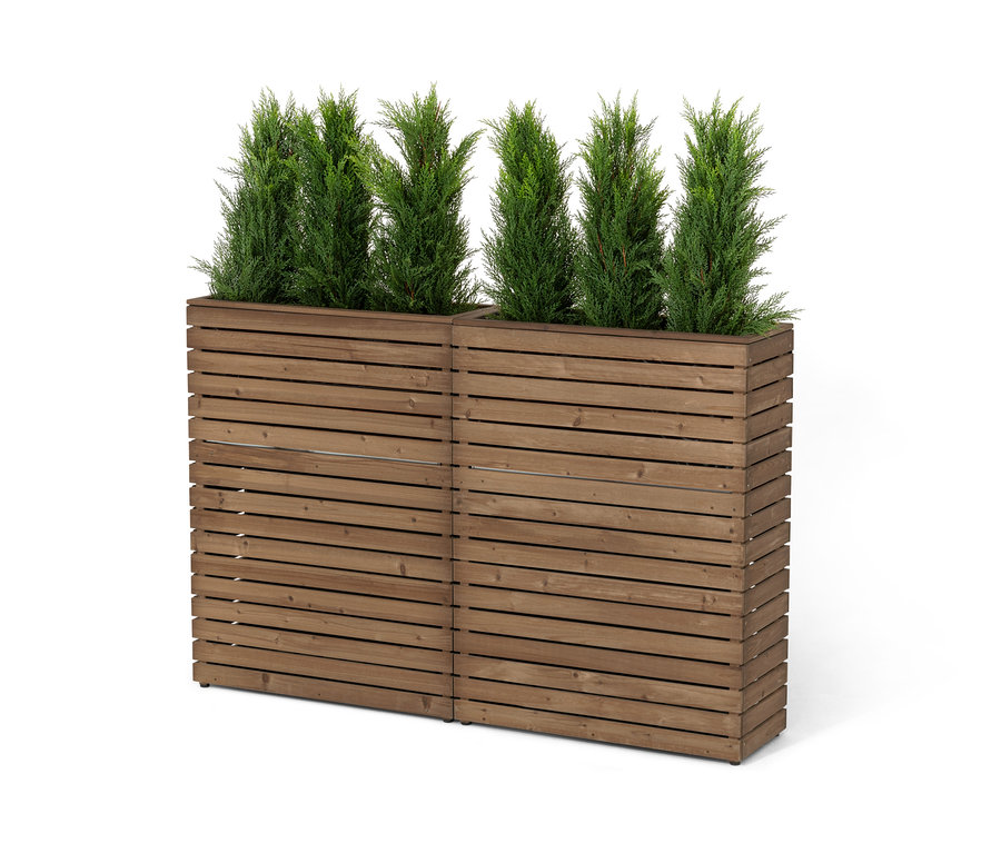 Zwei Pflanzkasten-Raumteiler »Tinus« mit Nadelbäumen.